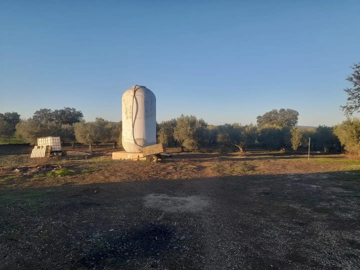 Finca rústica en venta en Fuente Obejuna con Jardín privado