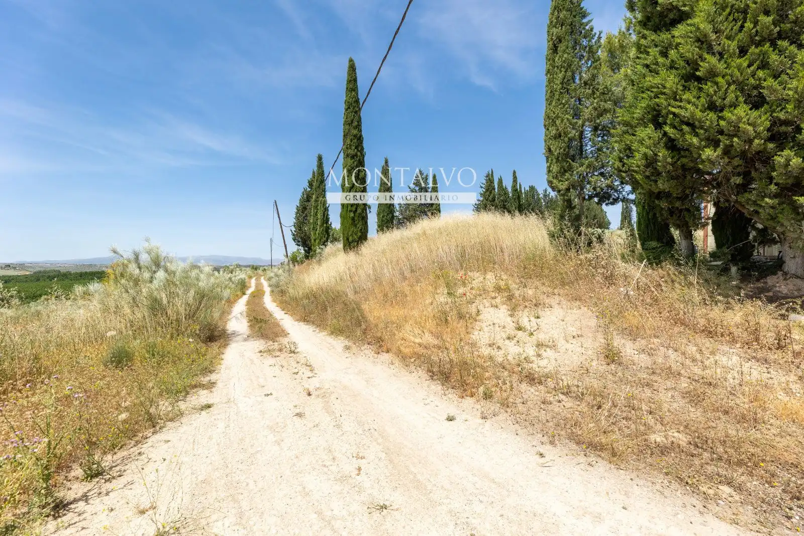Land for sale in Pinos Puente