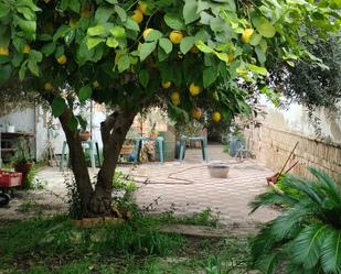 Jardí de Casa o xalet en venda en Dos Hermanas