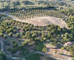 Land for sale in Garganta la Olla