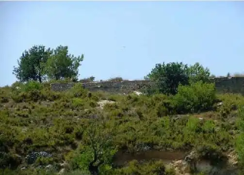 Rural land for sale in Ptda Ejido y Camino de Chiva, Pol 3, imagen 2