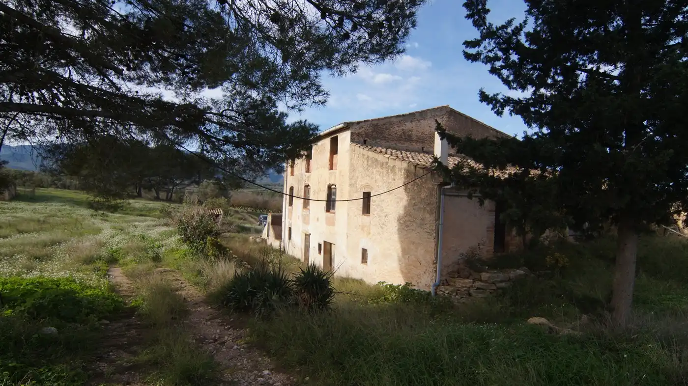 Vista exterior de Terreno en venta en Tivissa