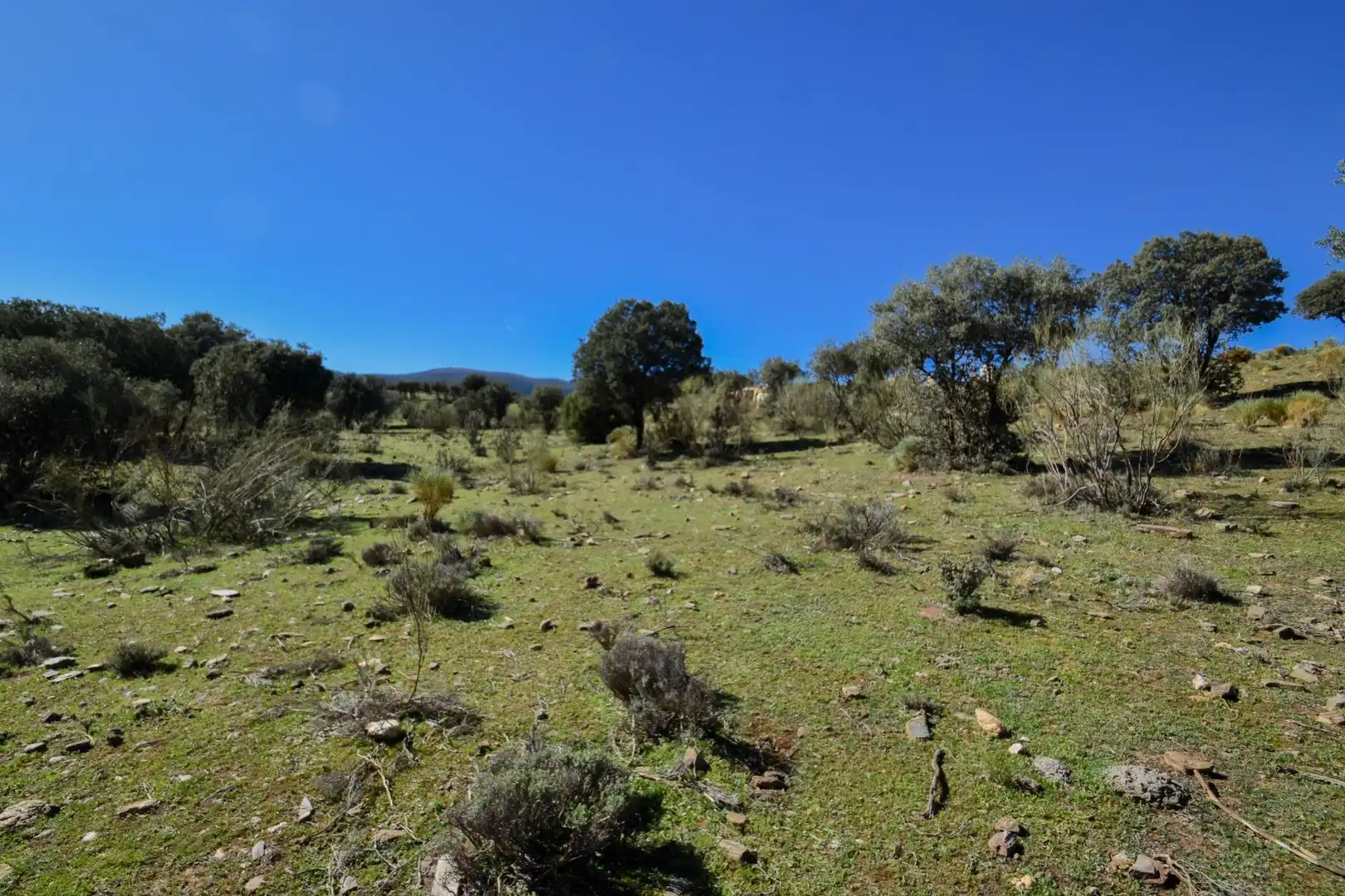 Terreno en venta en Paraje de las Perdices, Lugros
