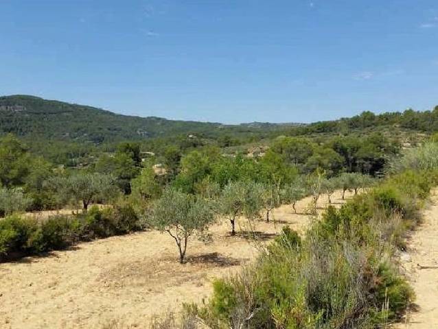 Terreno en Venta en Corbera Polígono 14 en Quesa