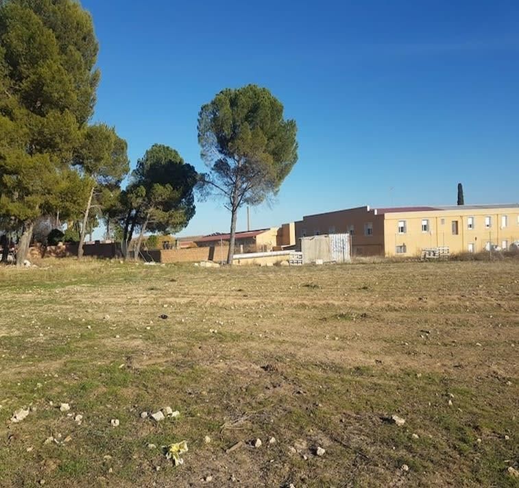 Geschaftsraum zum verkauf in Calzada de Calatrava