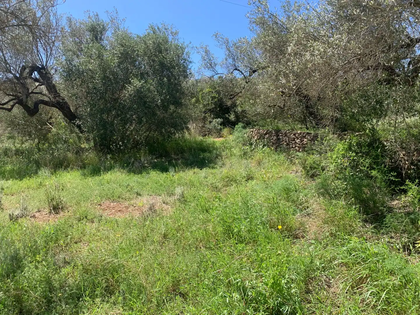 Landhaus zum Verkauf in El Perelló, imagen 34