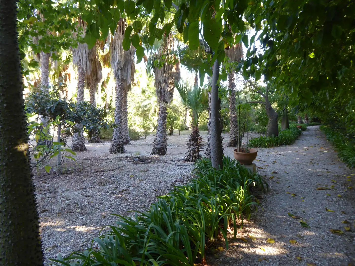Jardí de Casa o xalet en venda en Beniarbeig