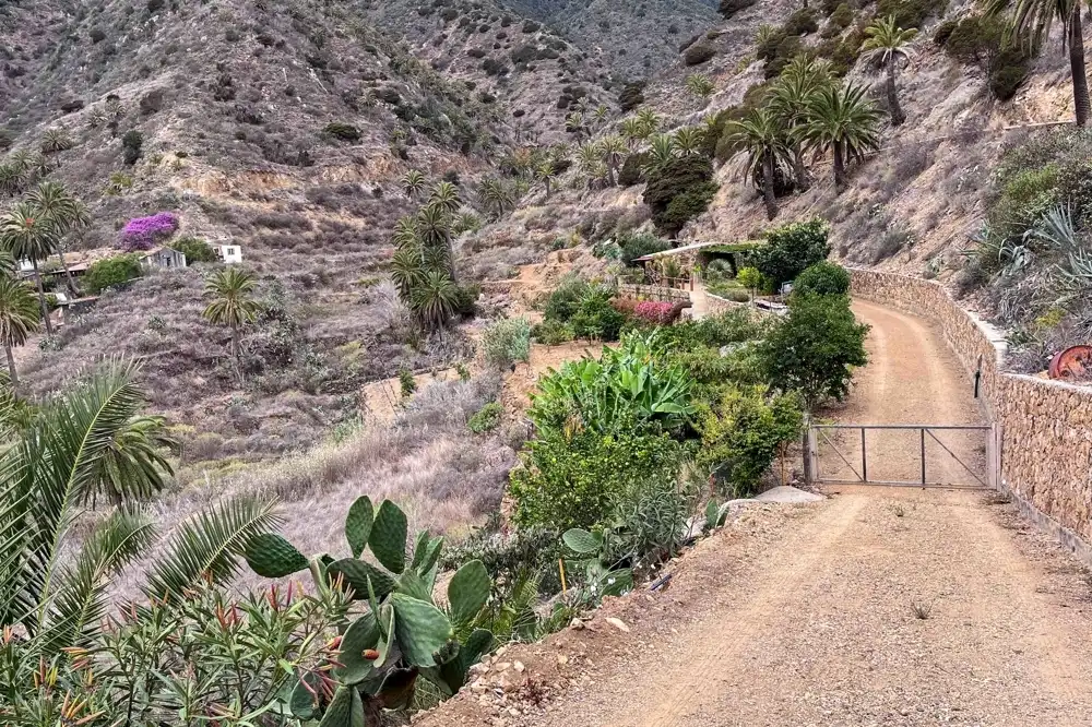 Vista exterior de Finca rústica en venta en Vallehermoso con Amueblado
