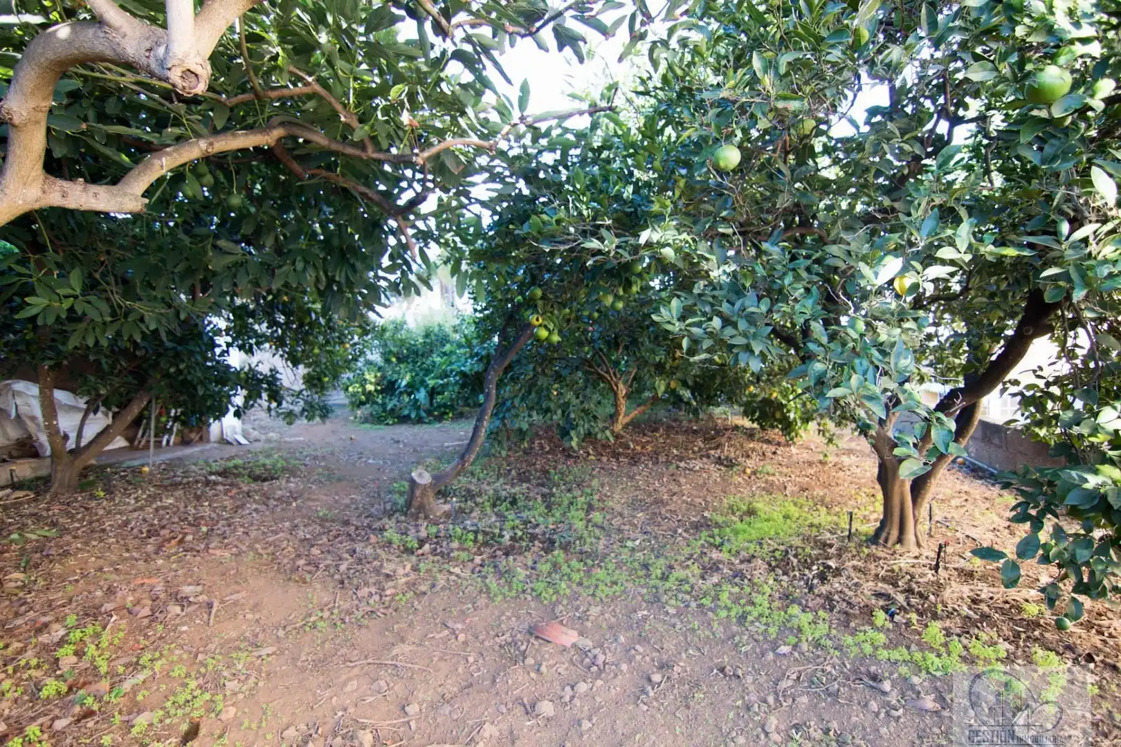 Casa o chalet en venta en La Orotava con Trastero