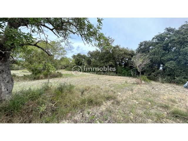 Terreno en Venta en Lloseta