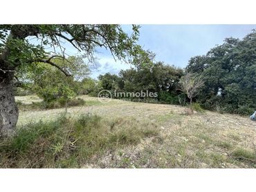 Rural land for sale in Lloseta