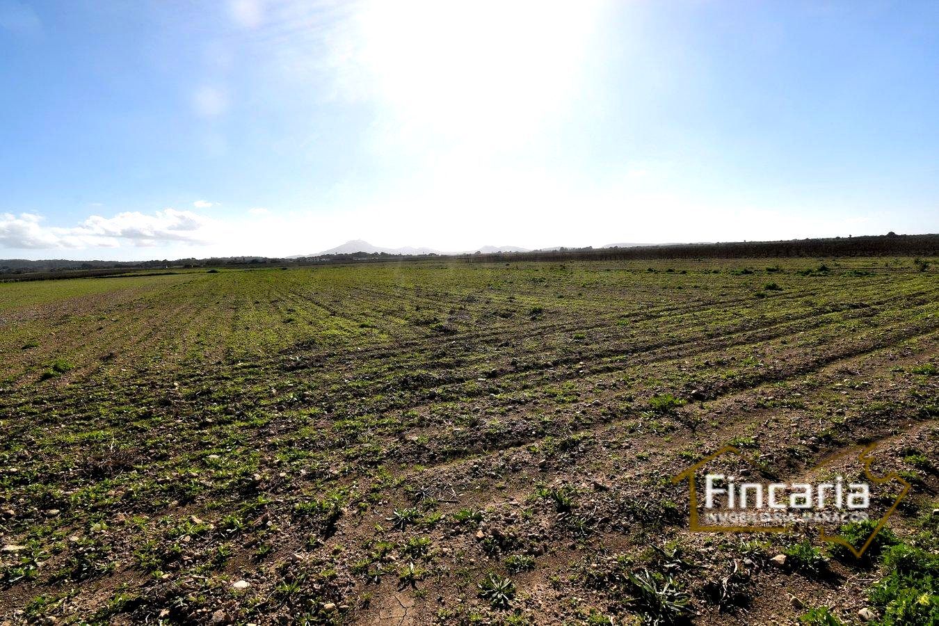 Residential zum verkauf in Camí de Son Nadal, Felanitx Poble