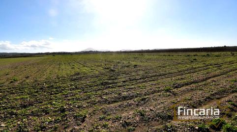 Photo 3 of Residential for sale in Camí de Son Nadal, Felanitx Poble, Illes Balears