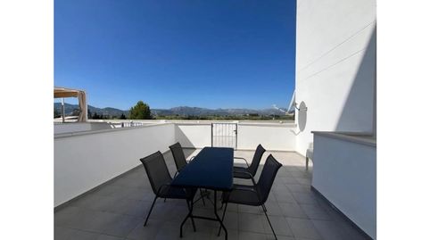 Foto 2 de Dúplex de alquiler en Oliva Nova, Oliva