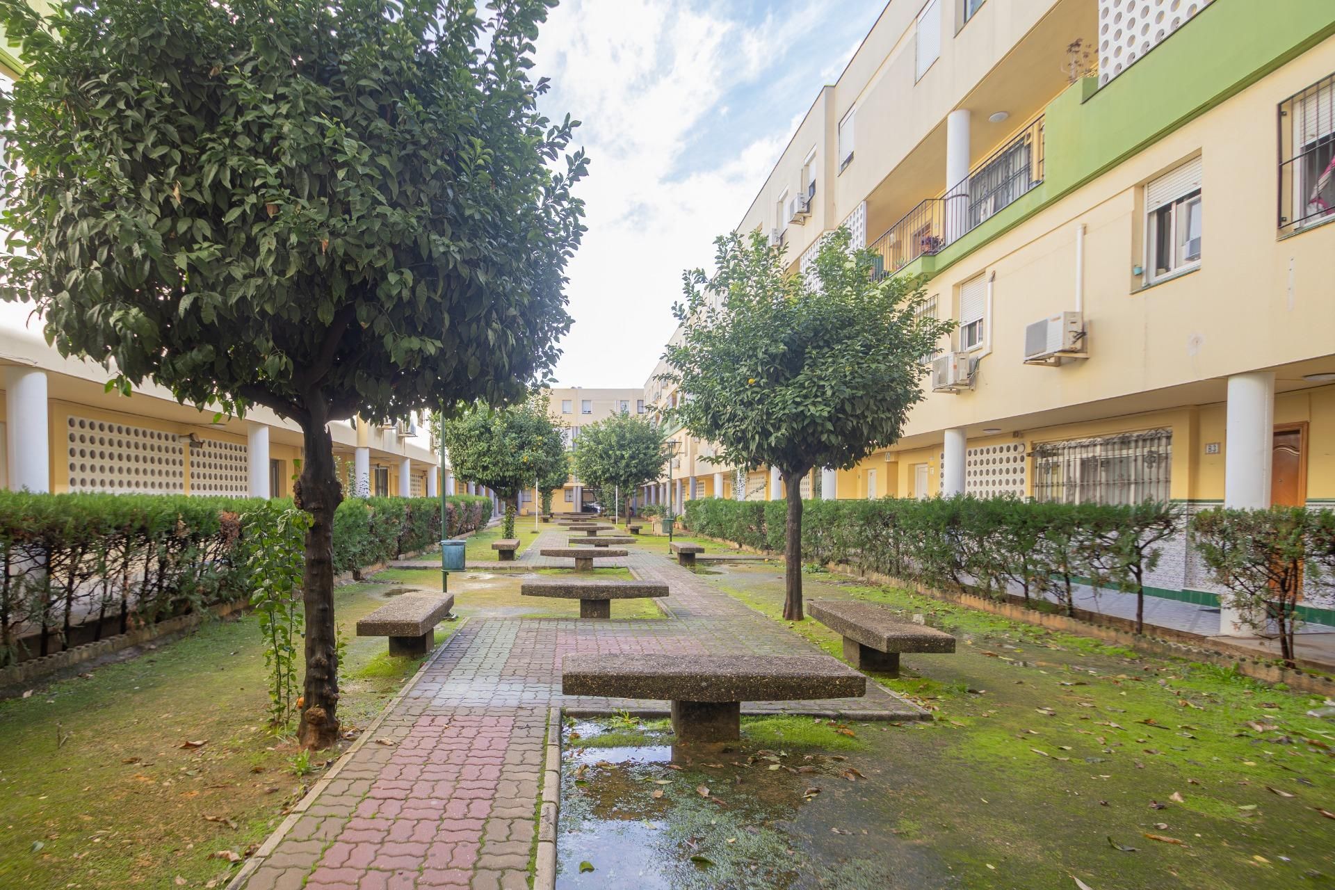 Dúplex en venta en Calle ESTRELLA POLAR, Pino Montano - Consolación , Norte