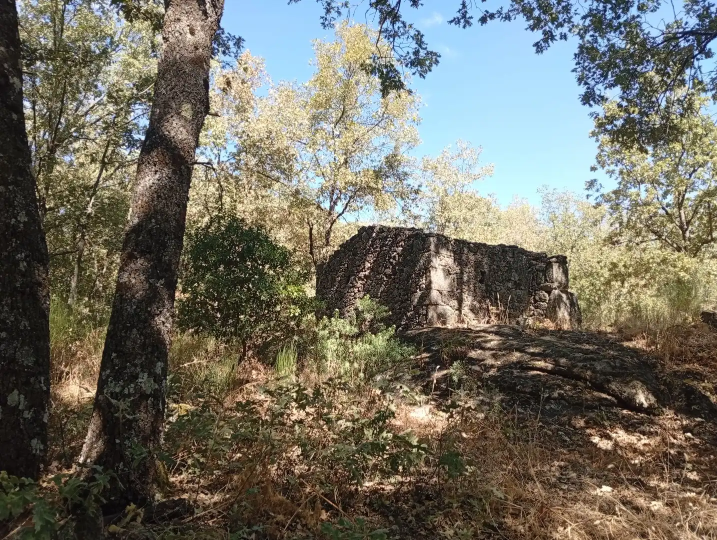 Terreni e lotti in vendita a Villanueva de la Vera, imagen 36