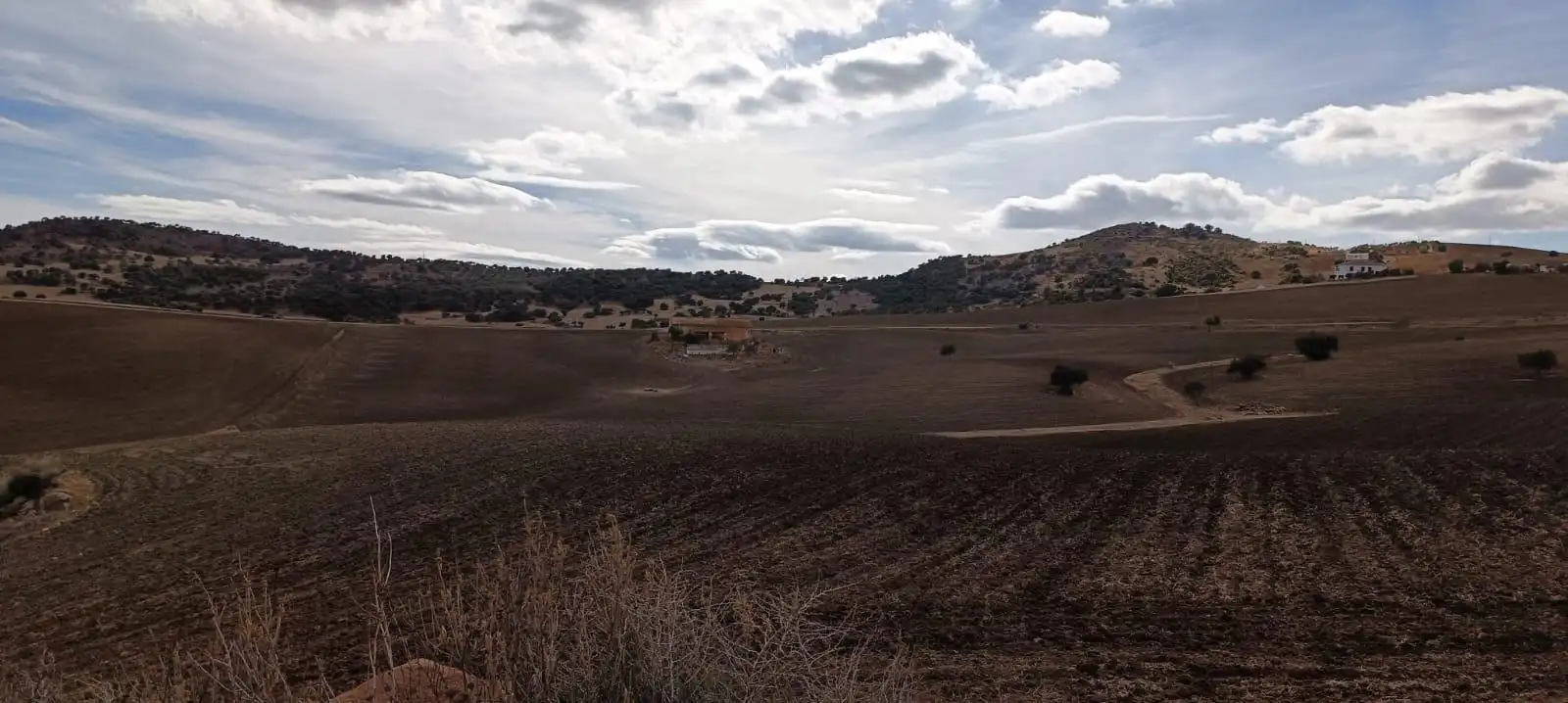 Rustikales Grundstück zum Verkauf in Villanueva de la Concepción, imagen 6