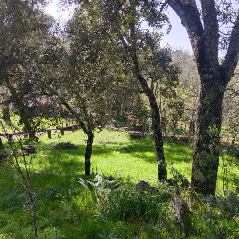 Jardín de Finca rústica en venta en Cortelazor