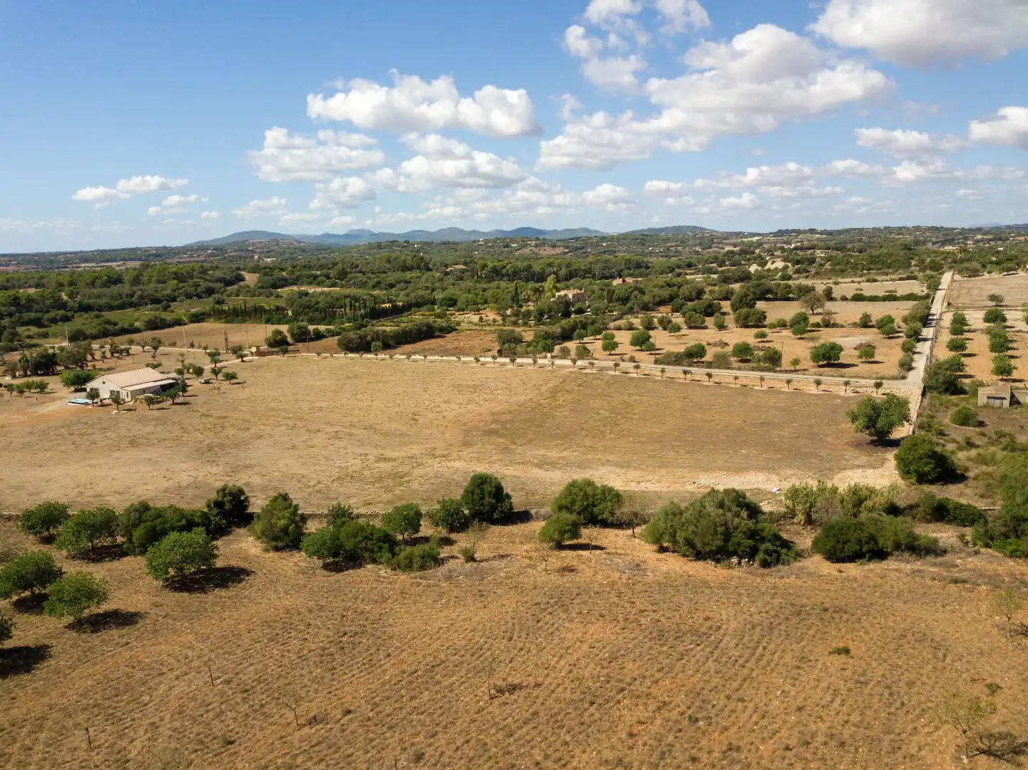 Rural land for sale in Son Vives, imagen 7