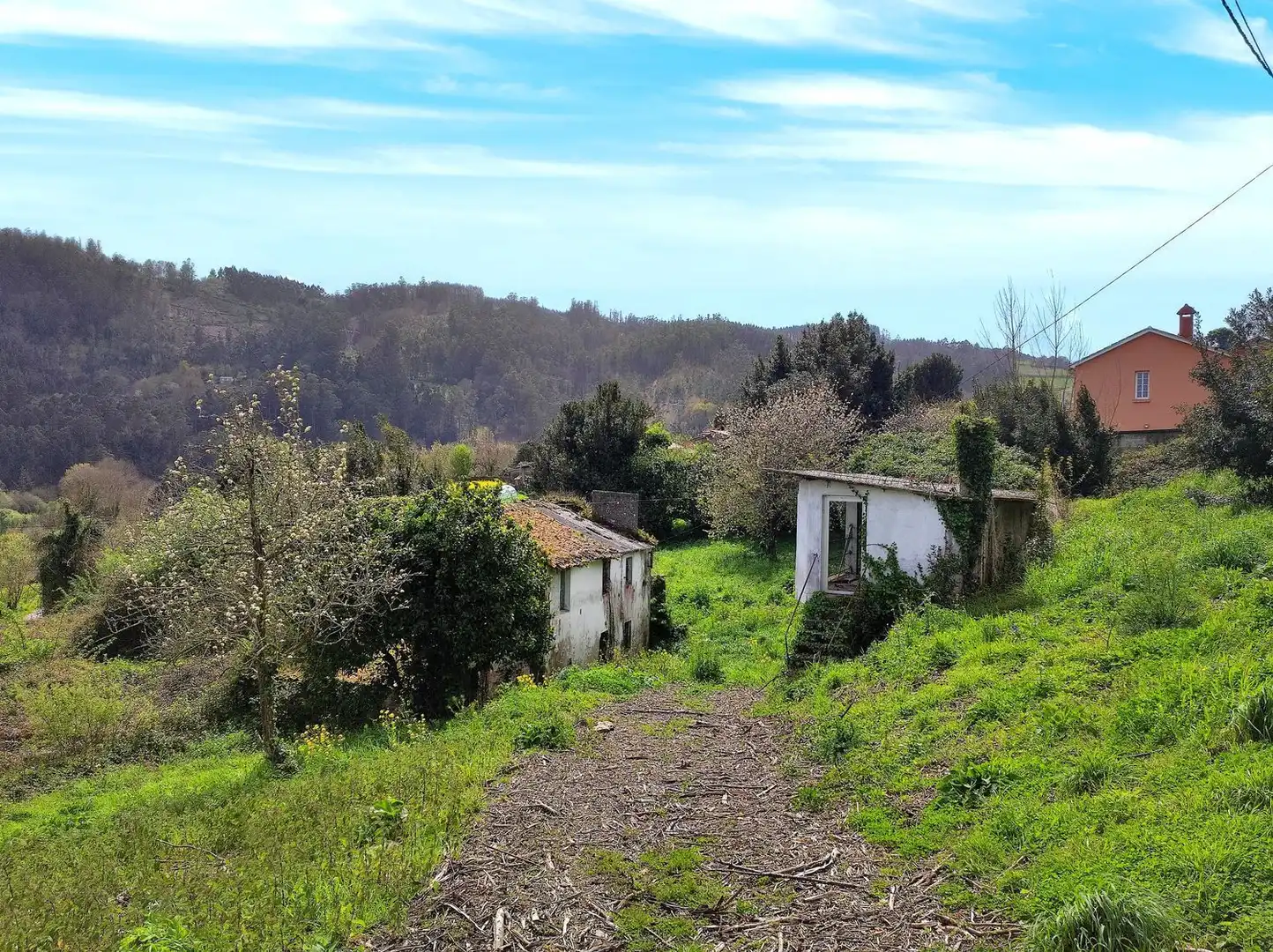 Villa avec jardin à vendre à Sumio 0, imagen 8