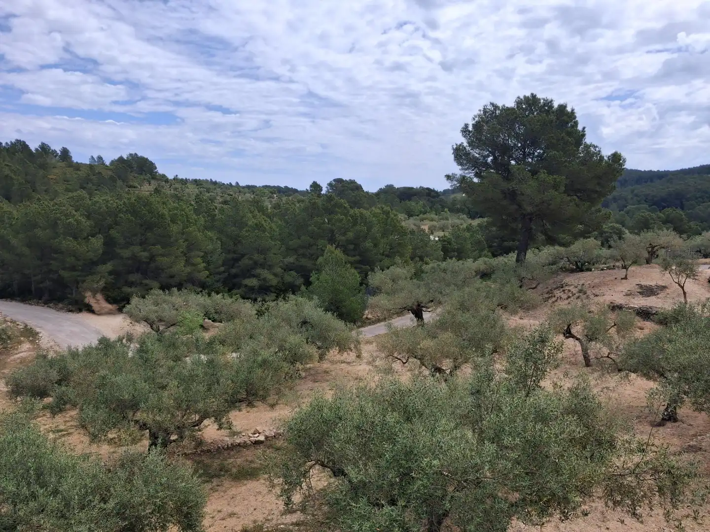 Terreno rustico in vendita a El Perelló, imagen 47