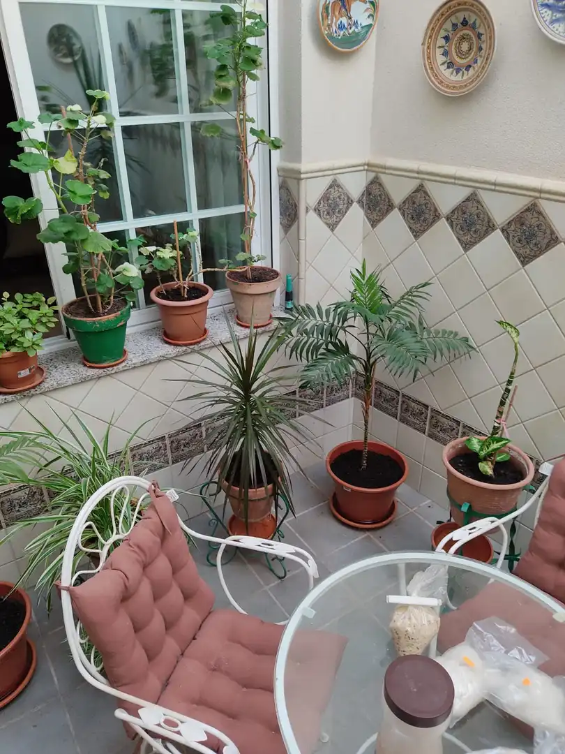 Casa con terraza en venta en Almendralejo, imagen 6
