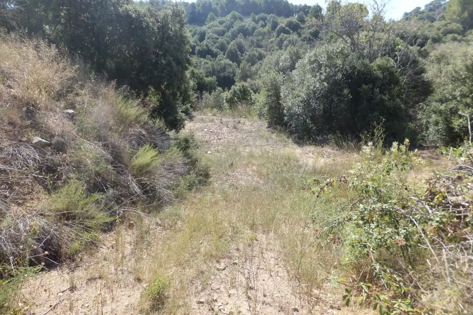 Land for sale in Alforja