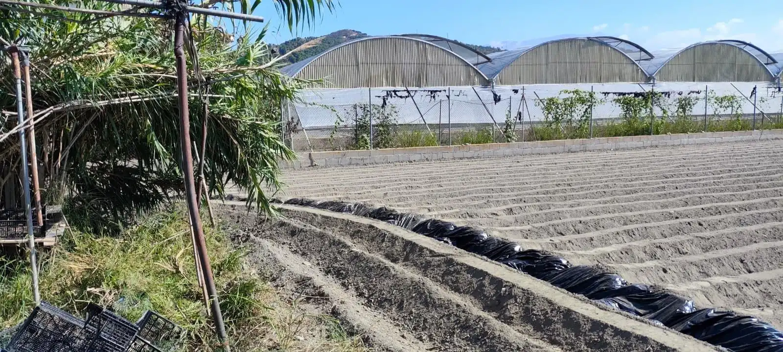 Außenansicht von Grundstücke zum Verkauf in Motril