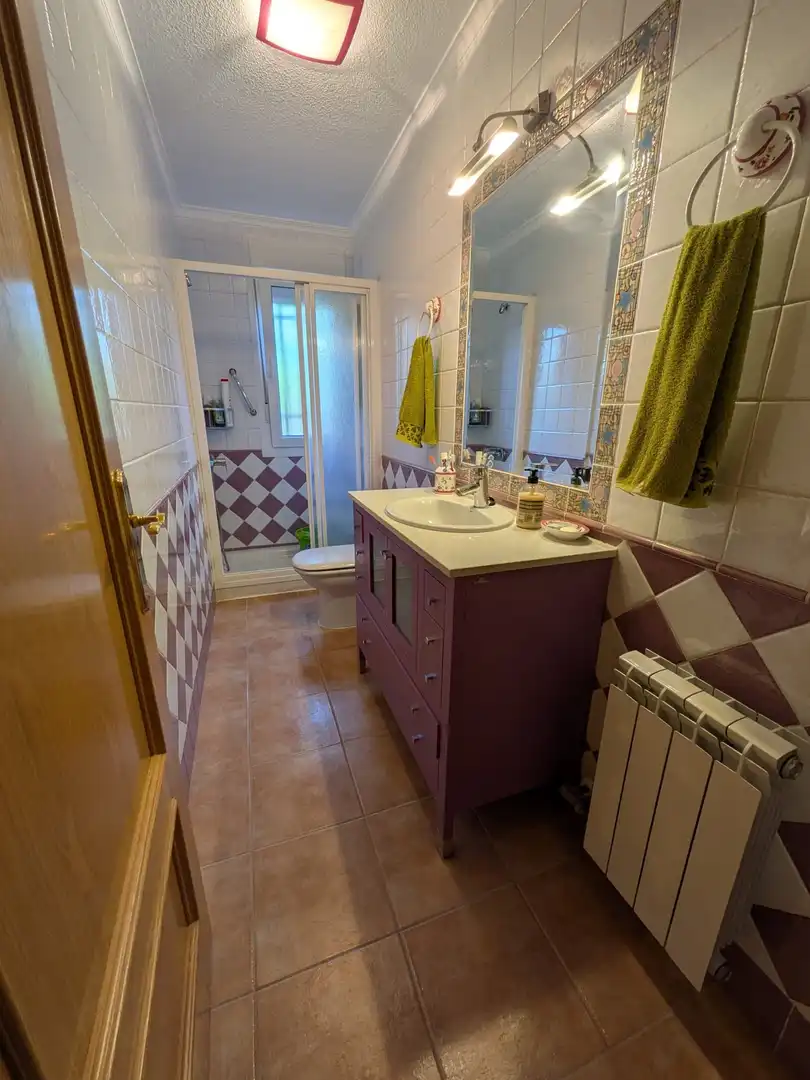 Baño de Finca rústica en venta en Miguelturra con Aire acondicionado, Calefacción y Jardín privado