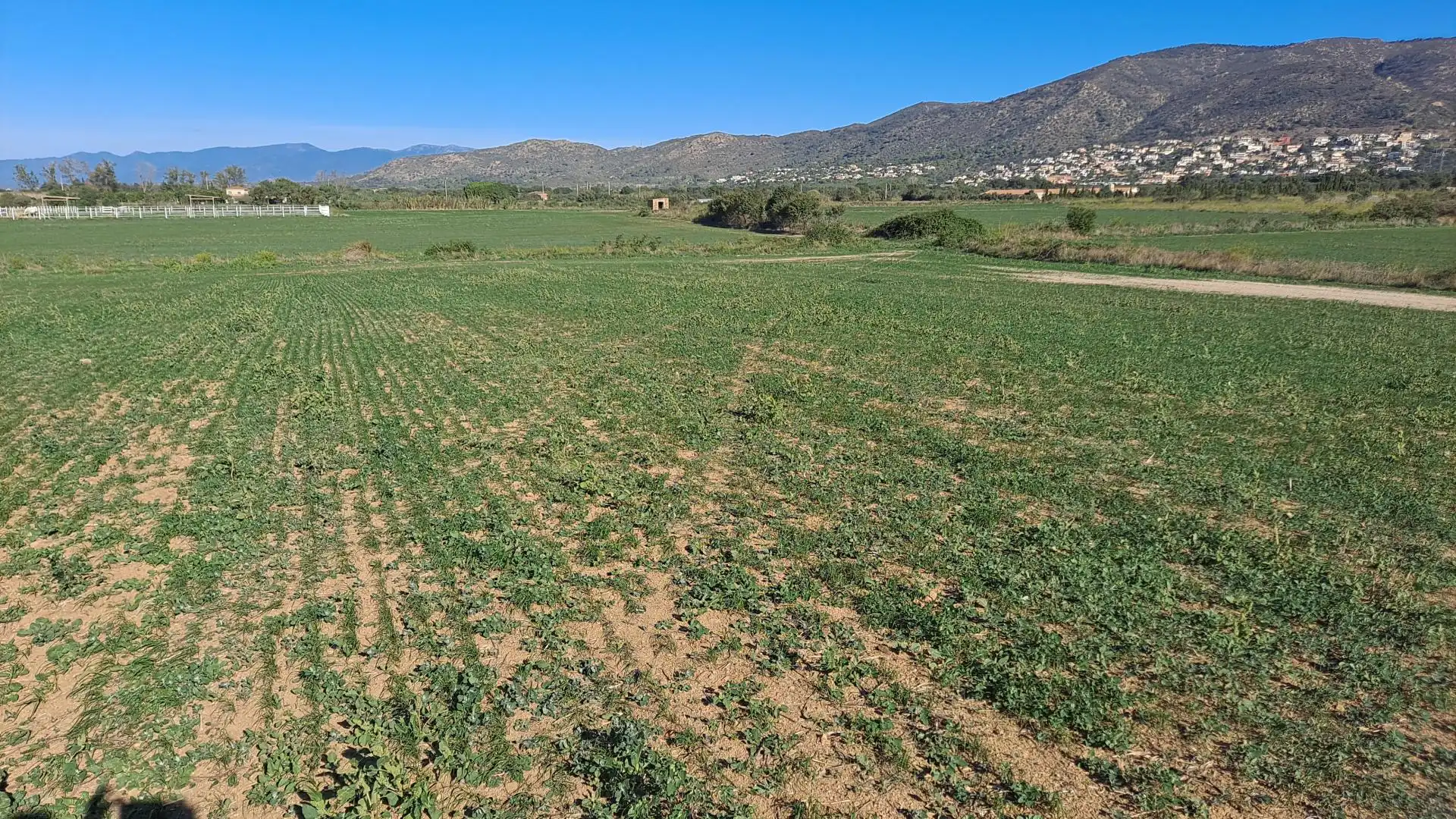 Terrenos y solares en venta en Palau-saverdera, imagen 2