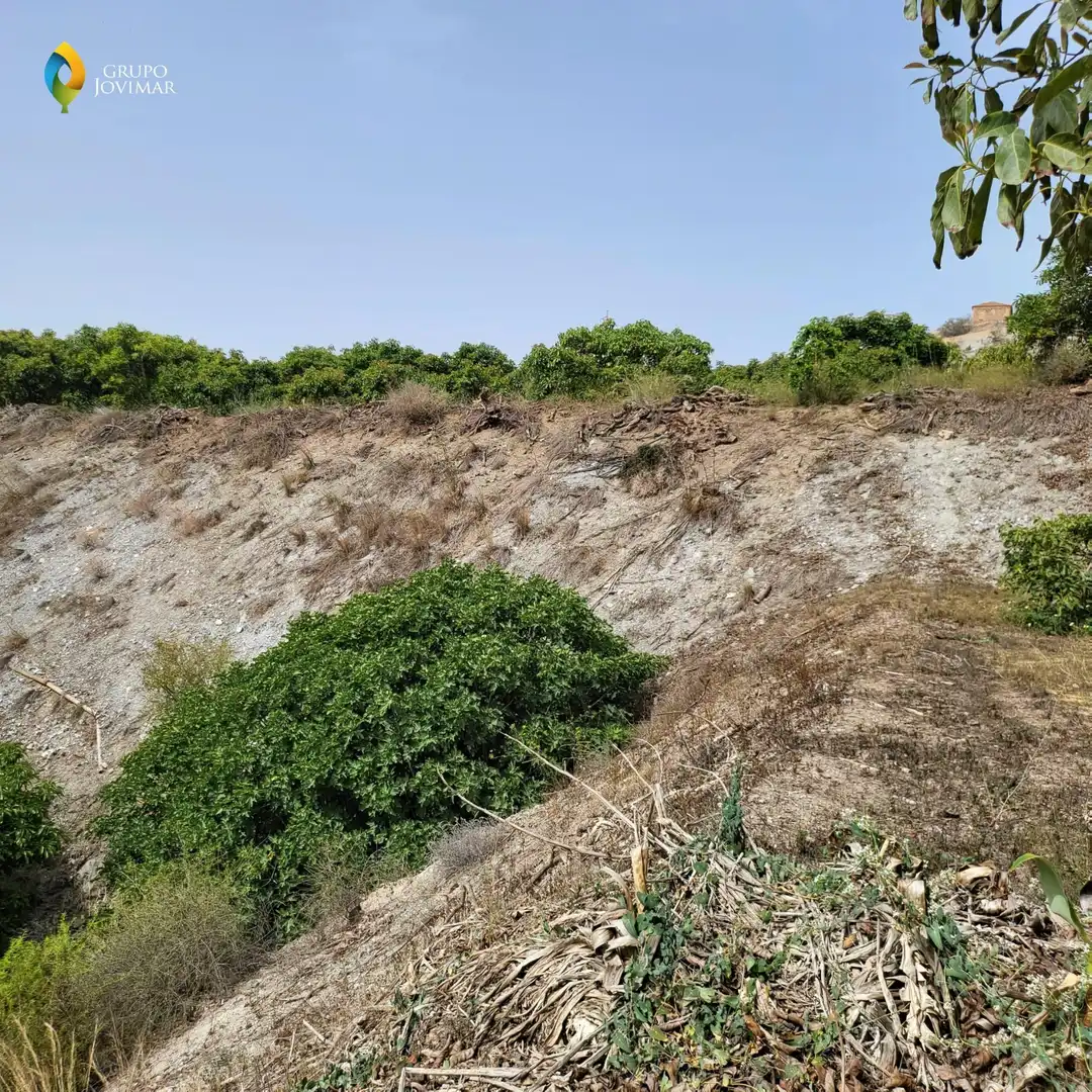 Terreno en venta en Motril  ciudad