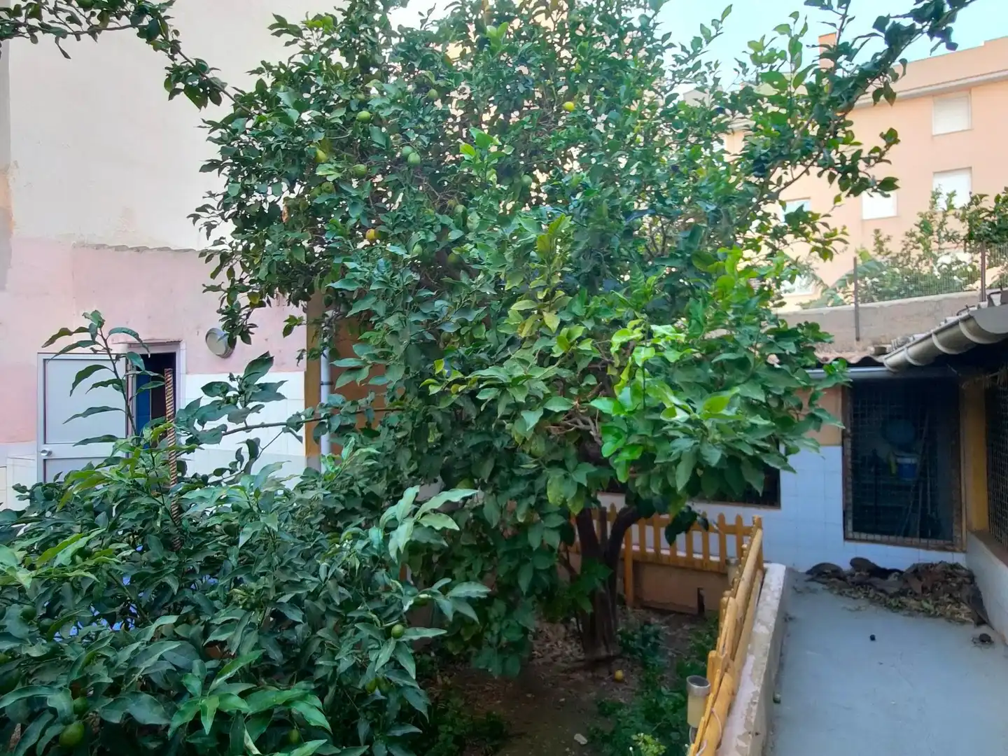 Jardín de Residencial en venta en  Palma de Mallorca