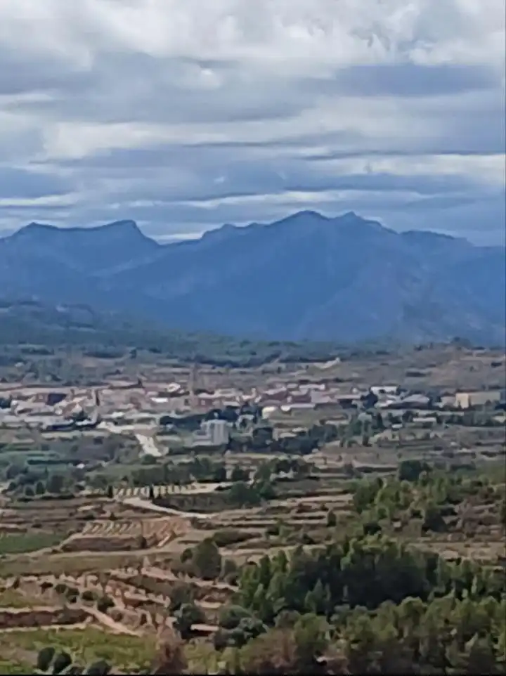 Rustikales Grundstück zum Verkauf in Corbera d'Ebre, imagen 2