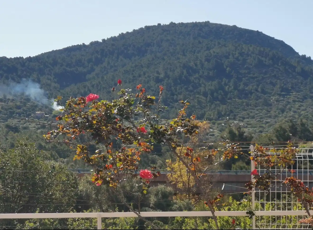 Casa amb piscina en venda a Sant Joan de Moró, imagen 19
