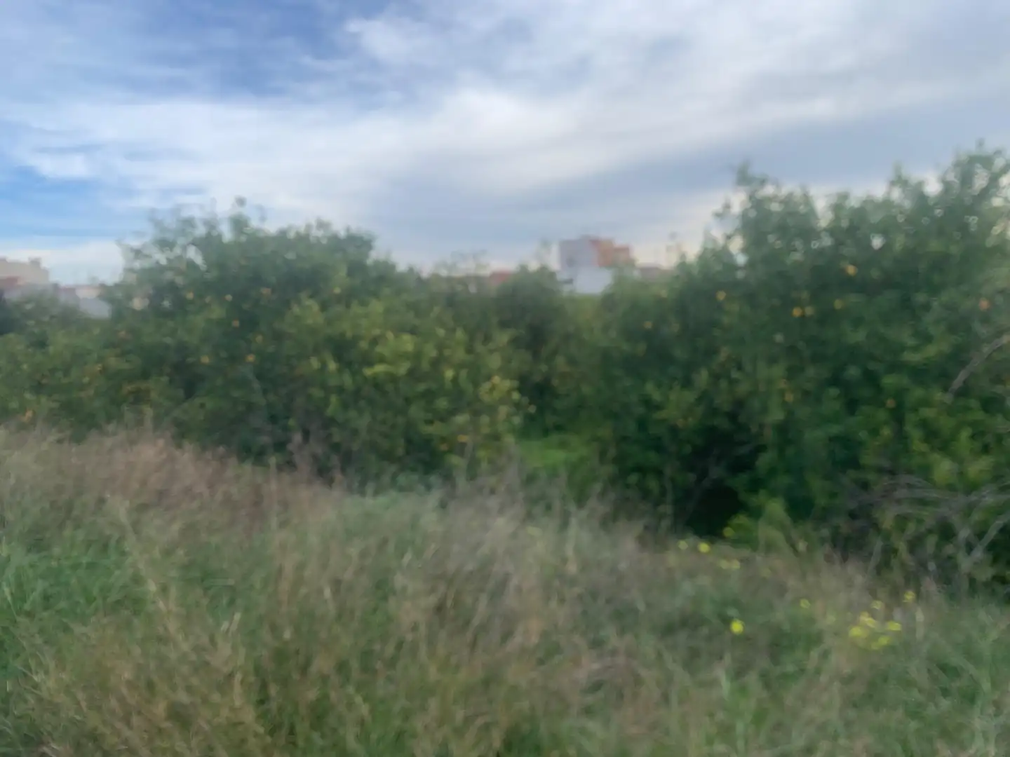 Terrenys i solars en venda a Pedanías Este, imagen 10