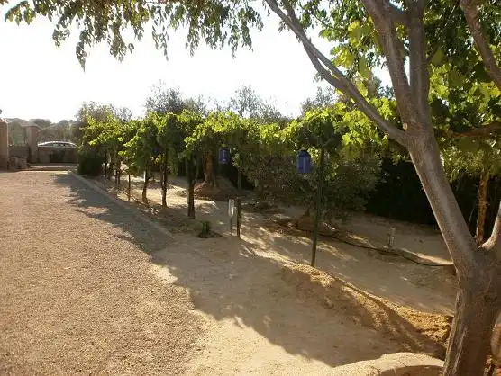 Xalet amb jardí en venda a Tobarra, imagen 16