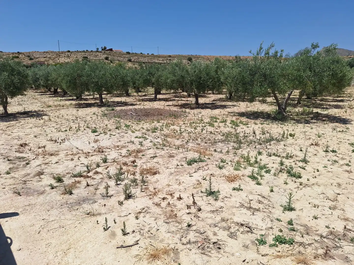 Casa o xalet en venda en Alicante / Alacant amb Jardí privat, Terrassa i Traster