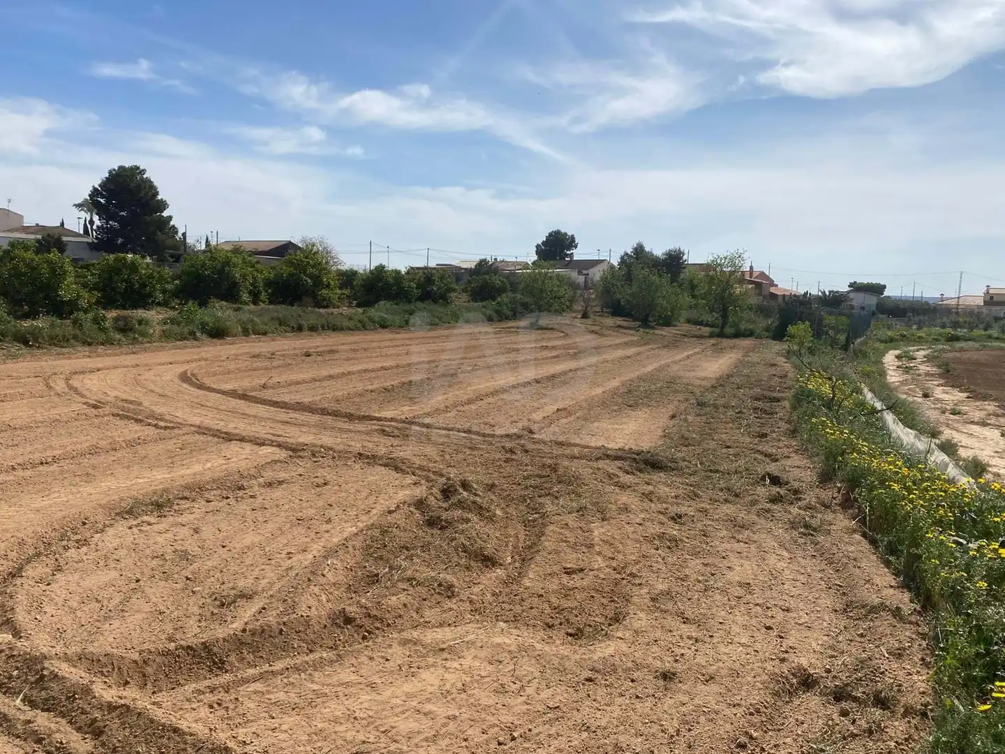 Casa en venta en Campo de Murcia, imagen 21