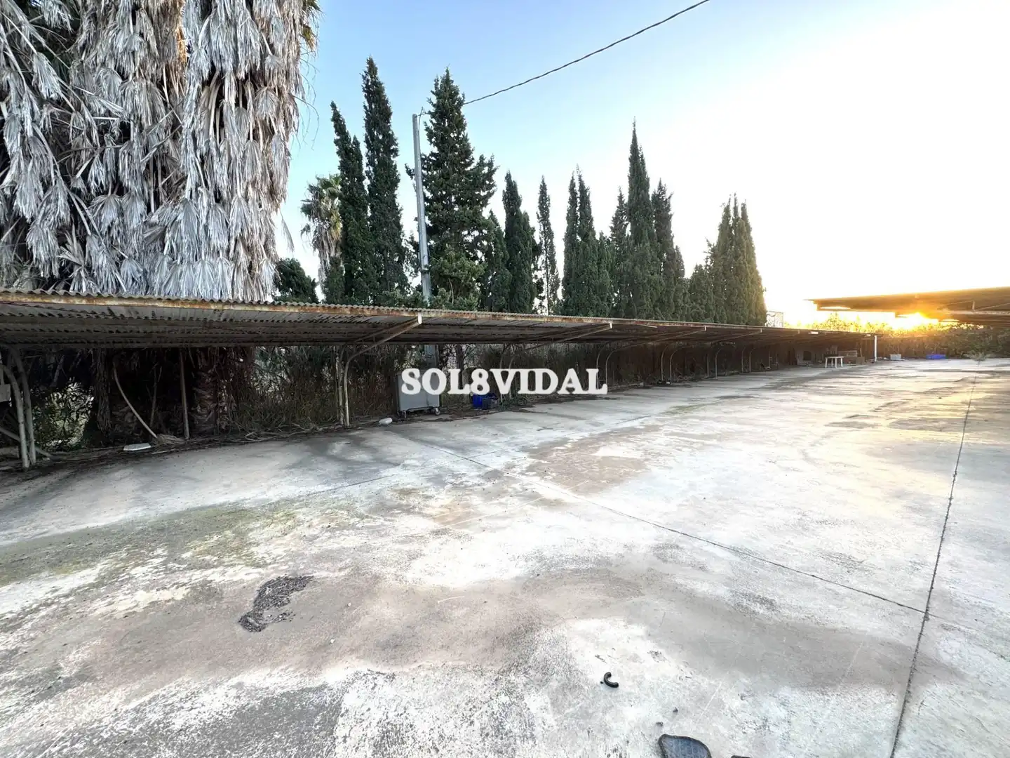 Terreno rustico in vendita a Orihuela ciudad, imagen 2