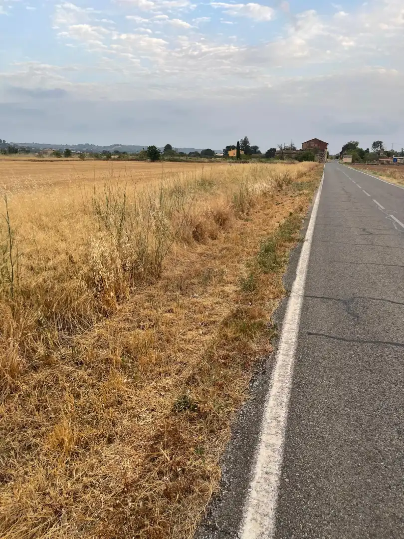 Terrain rustique à vendre à Plaça de l'Església Vella 13, imagen 2
