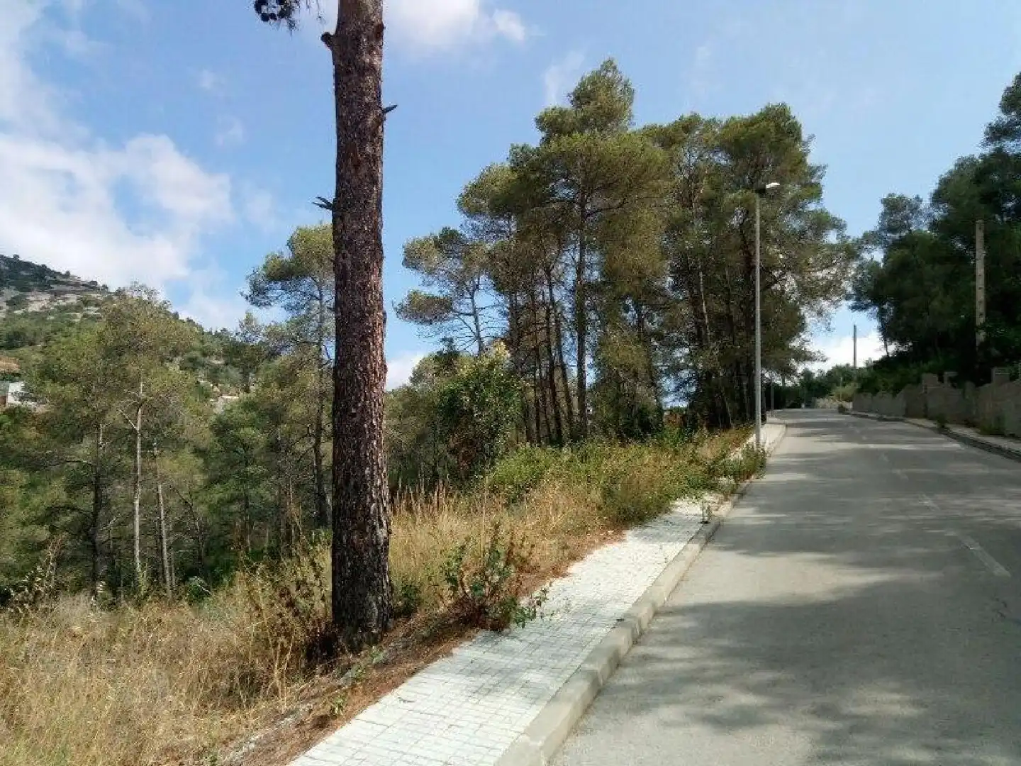 Terrenys i solars en venda a Olesa de Bonesvalls, imagen 10
