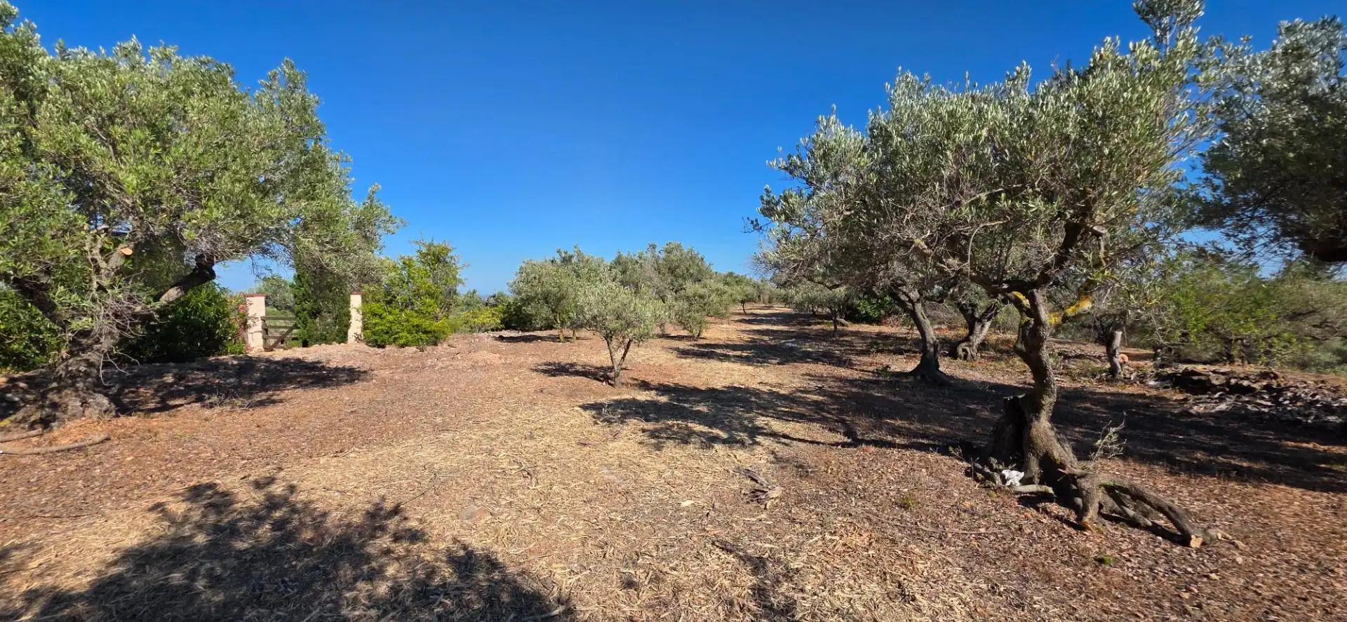 Finca rústica en venda en L'Aldea amb Traster