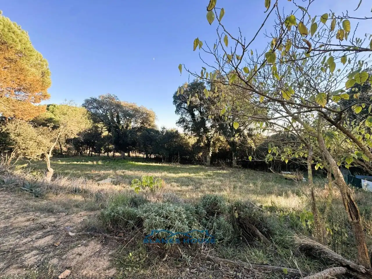 Finca rústica en venda en Tordera amb Jardí privat
