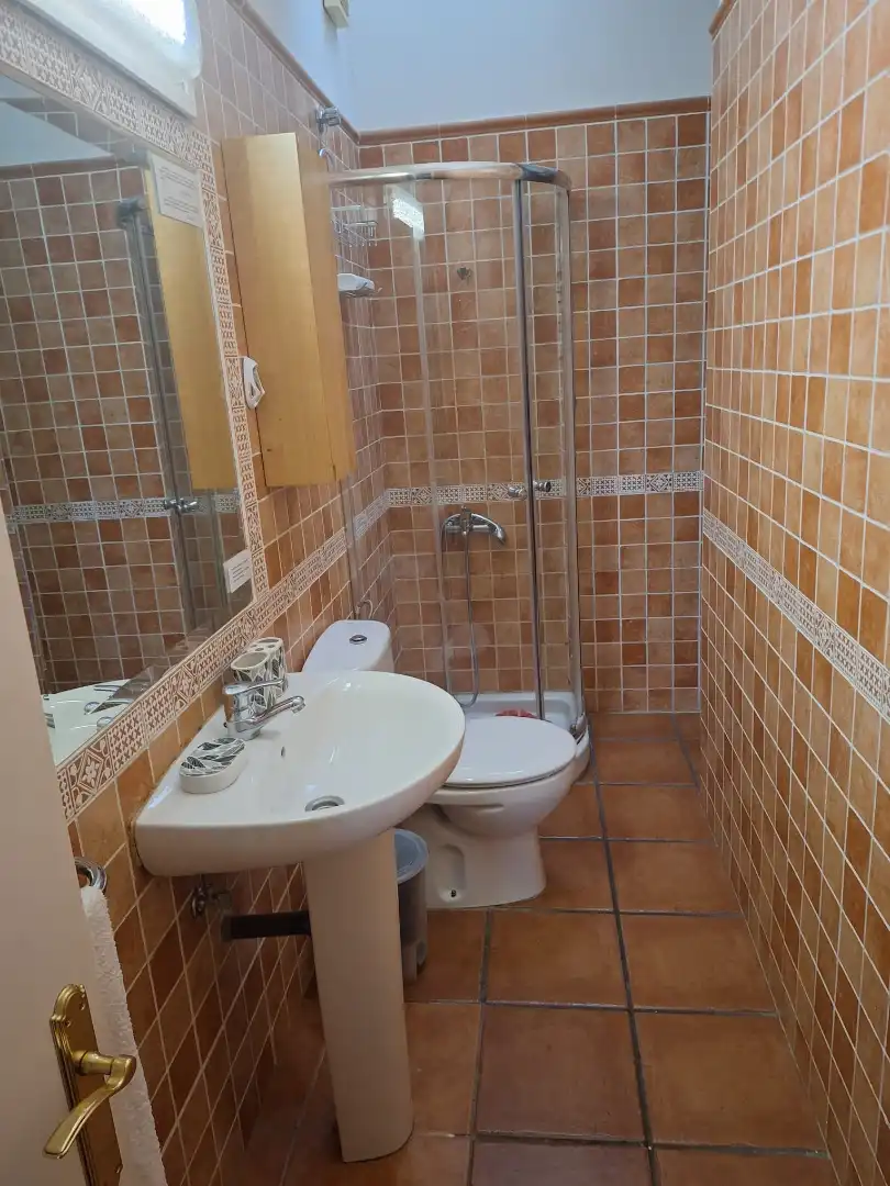 Bathroom of Apartments for rent in Las Palmas de Gran Canaria  with Parquet flooring, Furnished and Washing machine