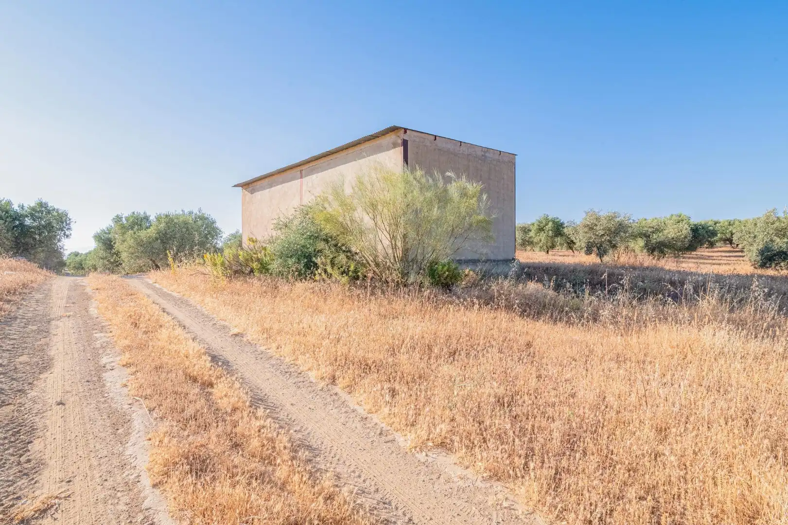 Apartments for sale in Santa Fe