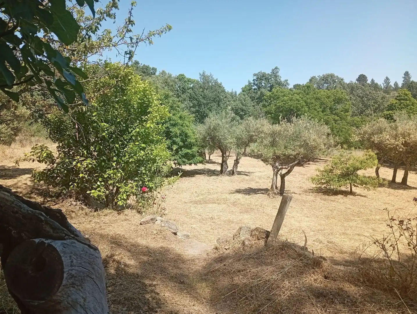 Terreni e lotti in vendita a Villanueva de la Vera, imagen 41