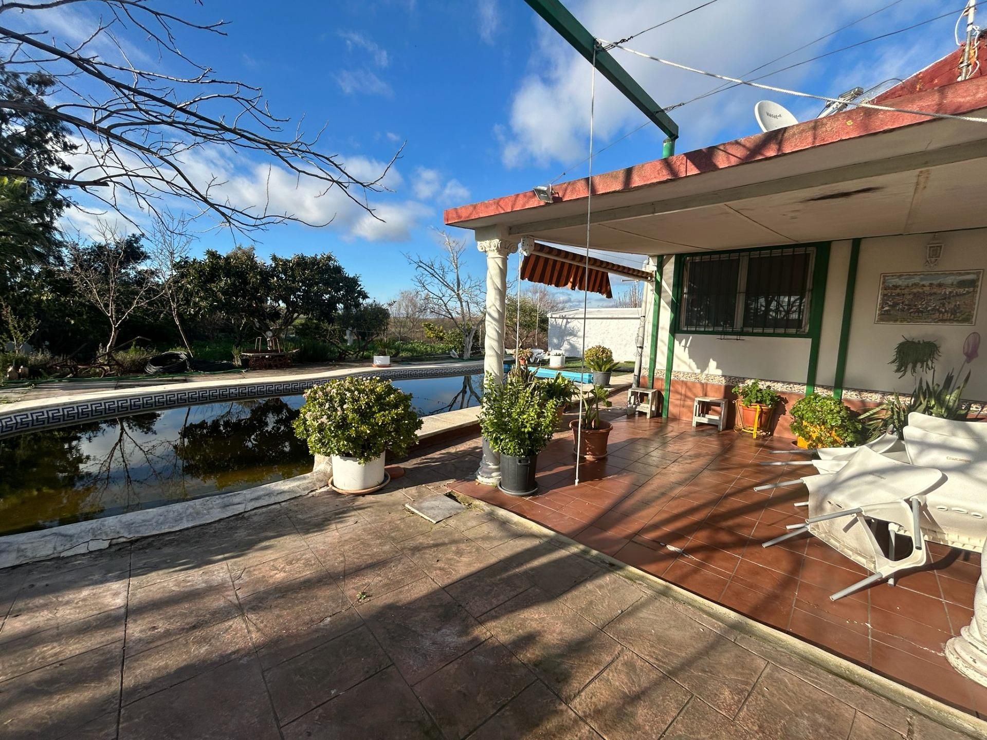 Terrace of Country house for sale in El Coronil