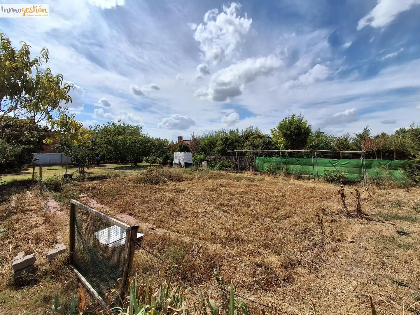 Terreno rustico in vendita a Tudela de Duero, imagen 21