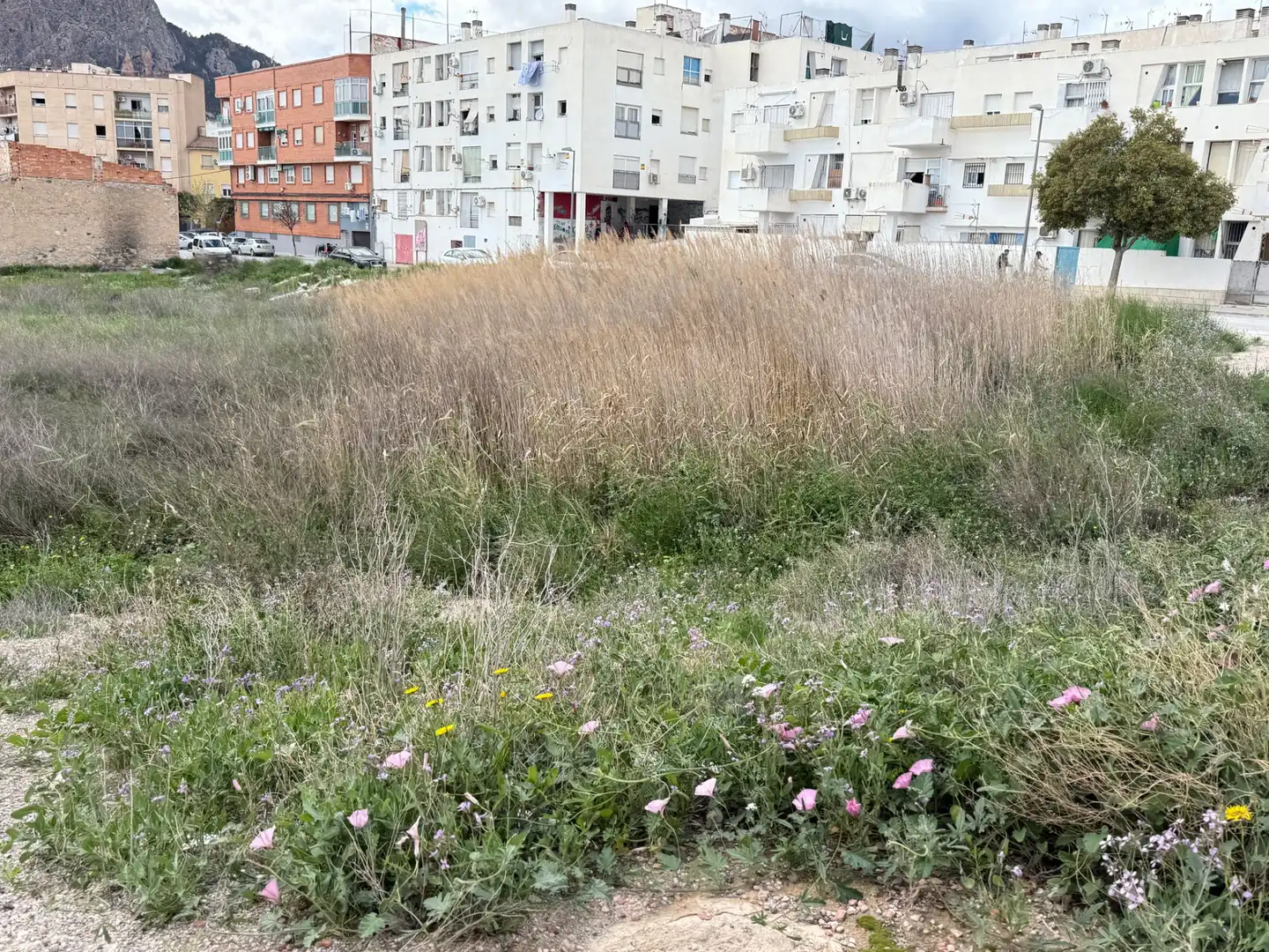 Terreny residencial en venda a Calle Poligono I, imagen 6