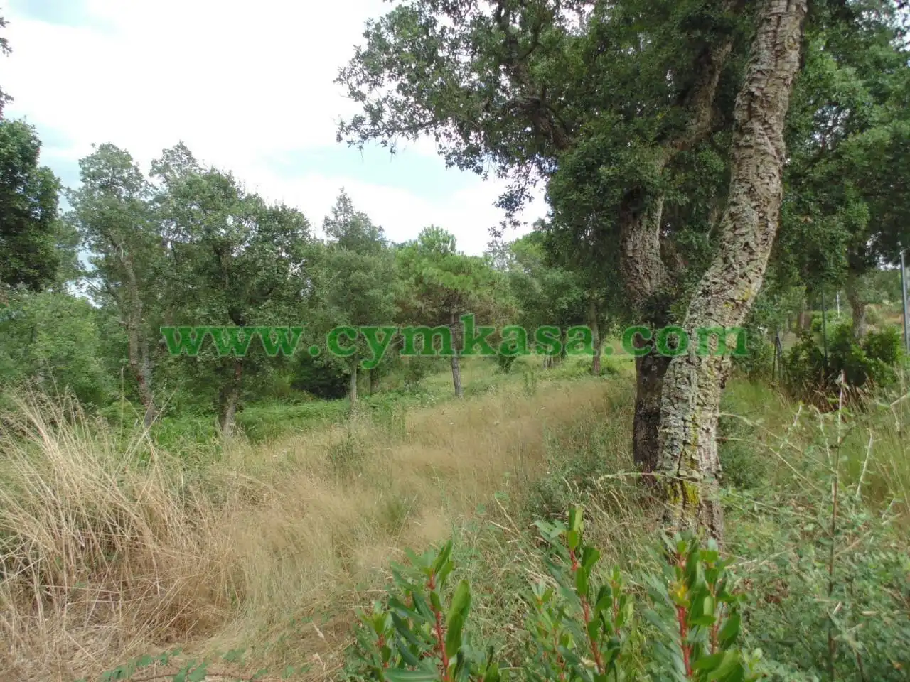 Rural land for sale in Montbarbat, imagen 3